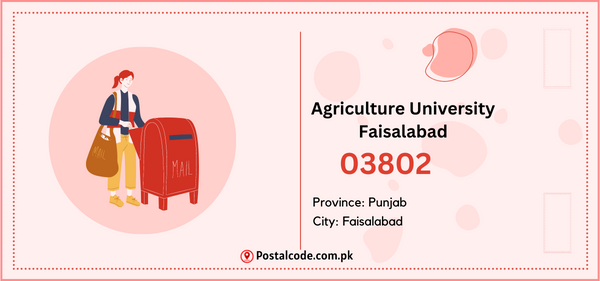 Agriculture University Faisalabad Postal Code